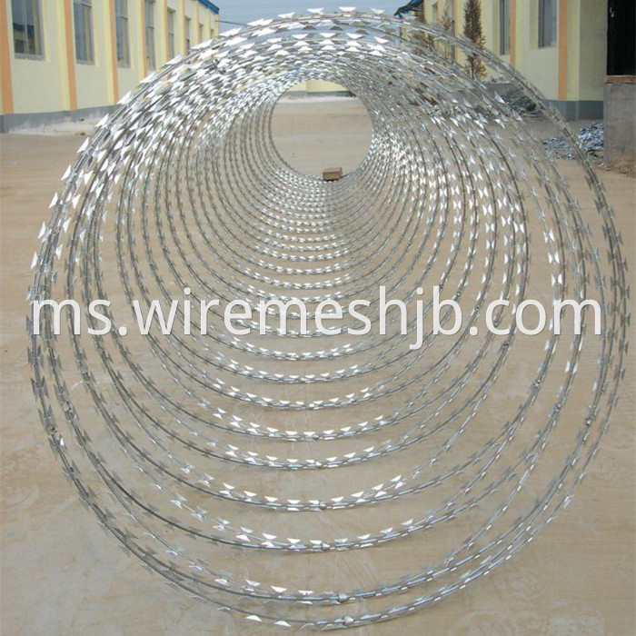 Concertina Razor Wire Fence